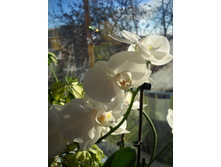 DSCN2870.JPG