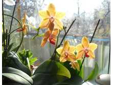DSCN2885.JPG