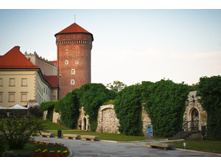 DSC02693-2.jpg