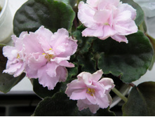 01.05.2010 19:41:20