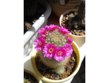 DSCN1372.JPG
