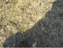 02.05.2010 13:52:17