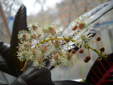 DSCN1169.JPG