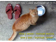 �����.jpg