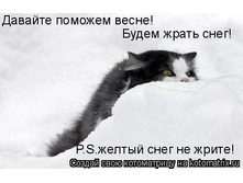 ������� �����.jpg