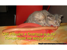 �������.jpg