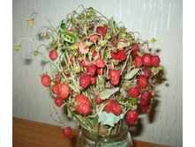 P1050293.JPG