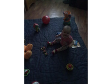 28122012910.jpg