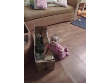 28122012938.jpg