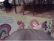 28122012948.jpg