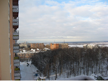 IMG_7955.JPG