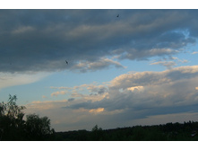 19.08.2012 21:53:50