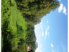 IMG_5655.JPG
