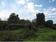 2012-08-19_11-47-11.jpg