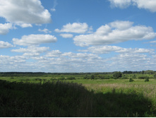 2012-08-19_12-43-11.jpg
