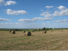 2012-08-19_16-06-28.jpg