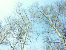 04.05.2010 18:49:19