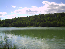 PICT0303.JPG