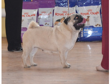 DSC_000141.jpg