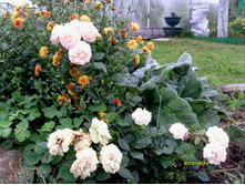 S73R2935.JPG