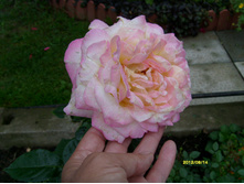 S73R2937.JPG