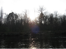 05.05.2010 13:23:24