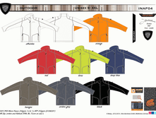 INAF04.gif