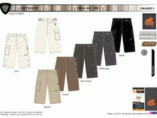 INAS01.gif
