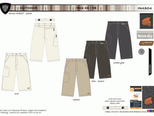 INAS04.gif