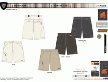 INAS05.gif