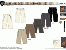 INAS06.gif