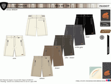 INAS07.gif