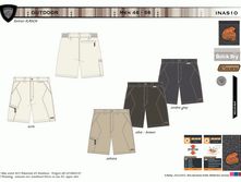 INAS10.gif