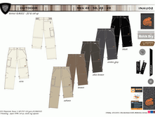 INAU02.gif