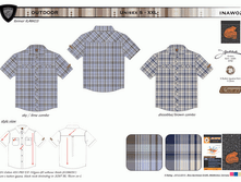 INAW02.gif
