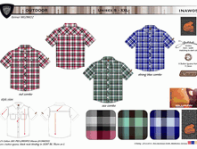 INAW05.gif
