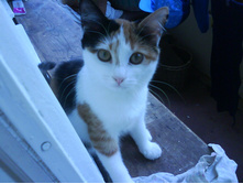 05.05.2010 23:43:37