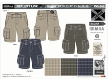 INMS09.gif