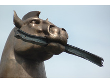 voroneg_horse_4.jpg