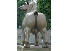 voroneg_horse_1.jpg
