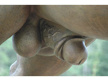 voroneg_horse_2.jpg