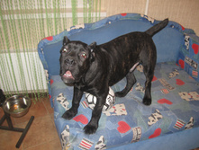 03.01.2013 9:18:40
