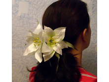 08.05.2010 9:54:56