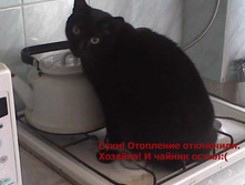 08.05.2010 22:34:43