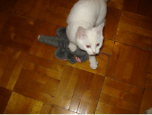DSC03003.JPG