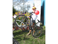 11.05.2010 15:51:39