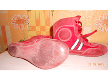 DSCN0846.jpg