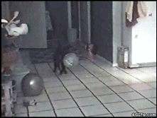 ������� ...