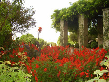 alhambre_004.jpg