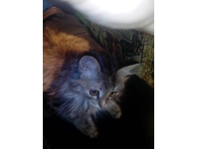 img20130104234404.jpg